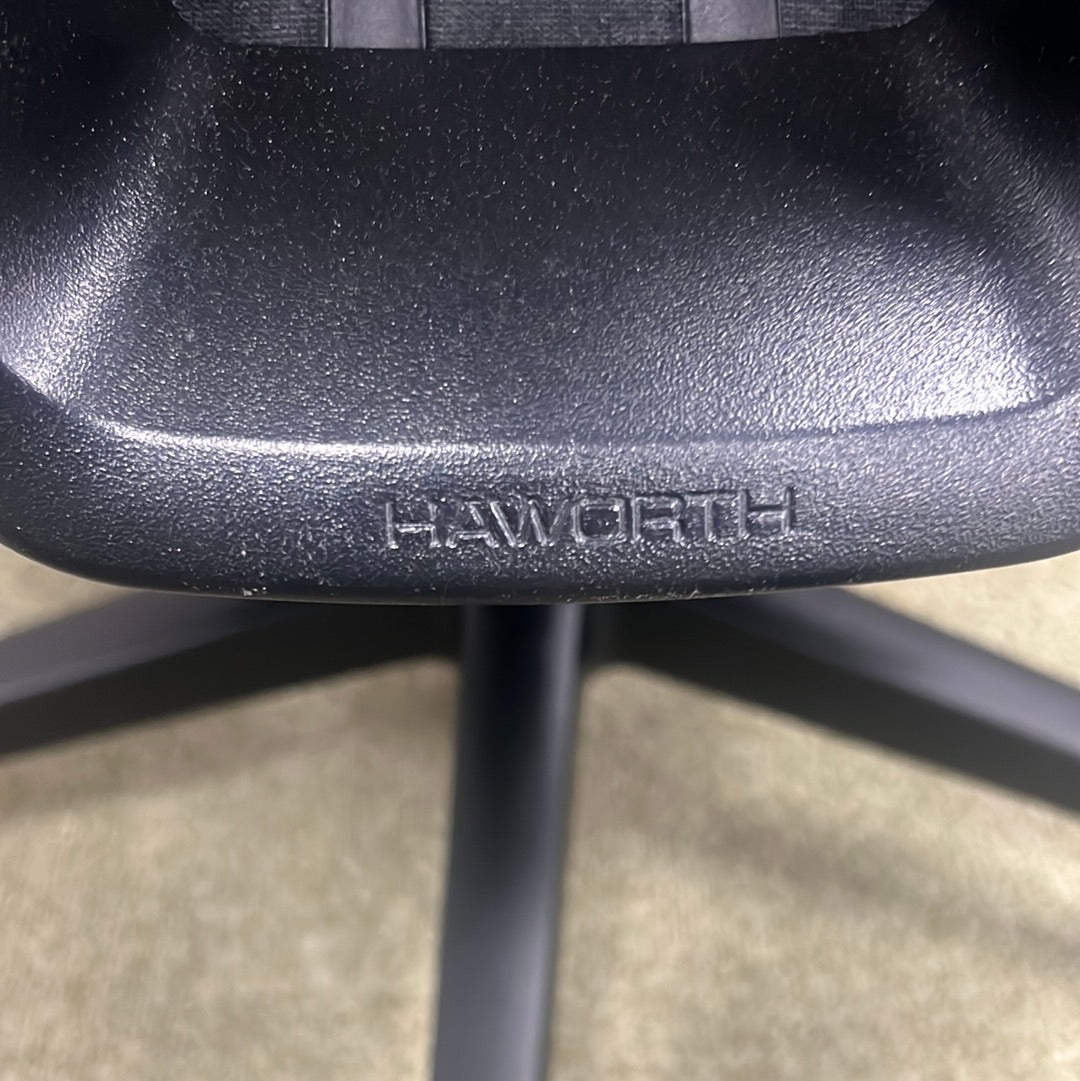 Haworth Fern - Product Photo 4