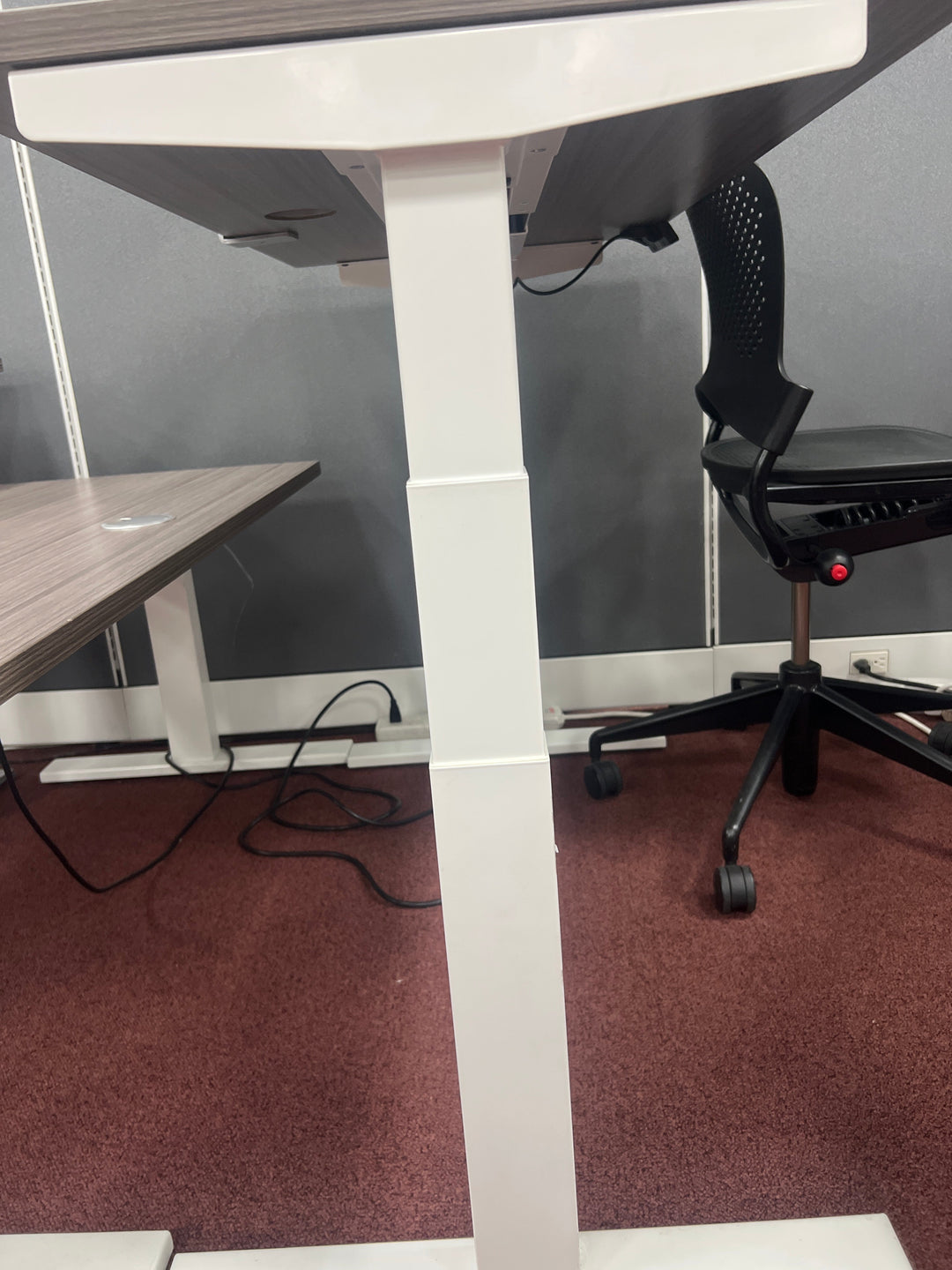USED 3 Stage Element Sit Stand Desk