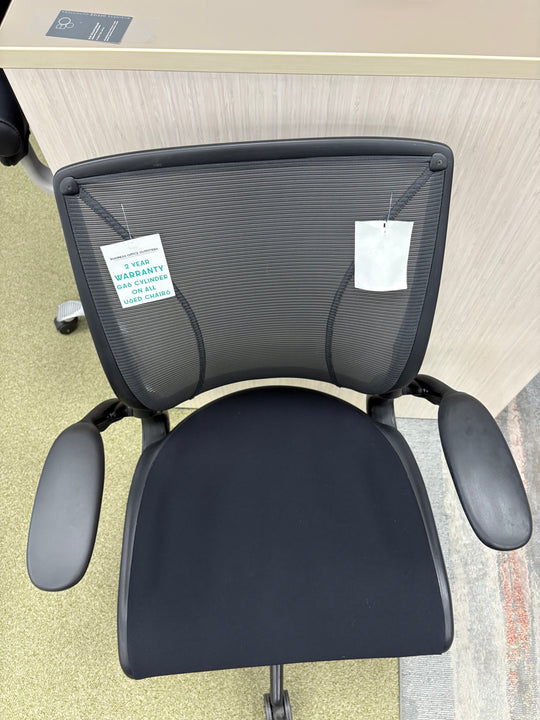 Humanscale Diffrient World Chair